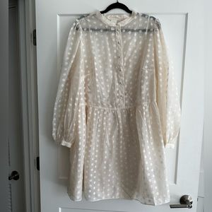 H&M Polkadot Sheer Dress